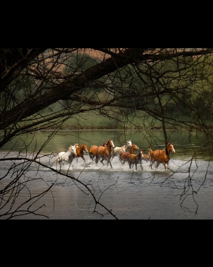 Aysia LinggarWati Journey