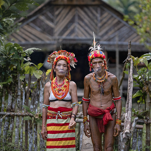 Mentawai, Siberut